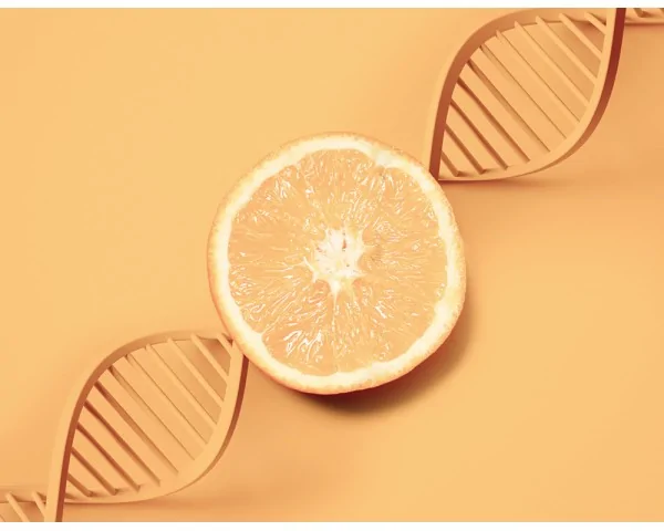 Imagen del producto Test nutrigenético y análisis del metabolismo