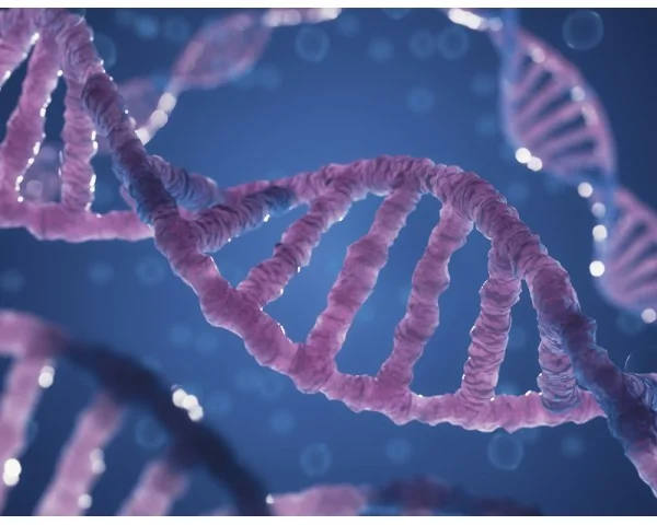 Imagen del producto Test de Portadores - Individual y en Pareja