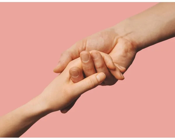 Imagen del producto Estudio de compatibilidad