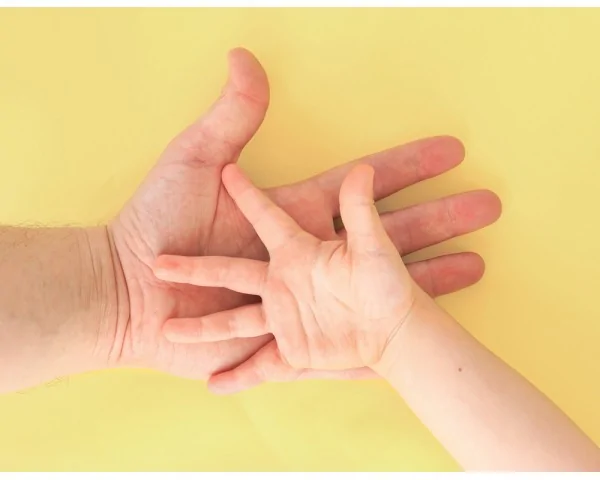 Imagen del producto Prueba de Paternidad