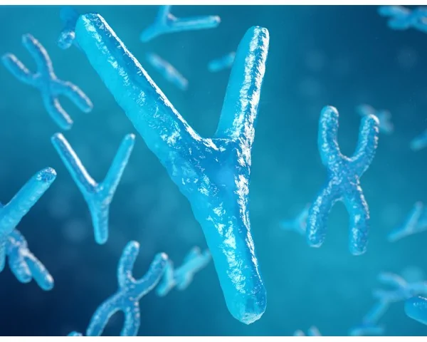 Imagen del producto Longitud telomérica