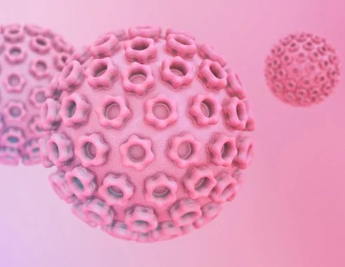 Imagen de Test del virus del papiloma humano (VPH)