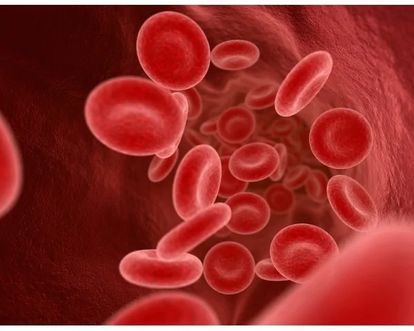 Imagen del producto Estudio de trombofilia: test genético para la detección de trombosis e ictus