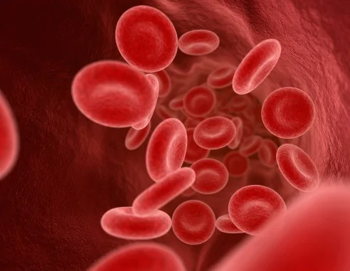 Imagen de Estudio de trombofilia: test genético para la detección de trombosis e ictus