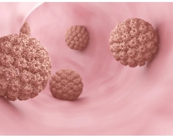 Imagen del producto Test del virus del papiloma humano (VPH)