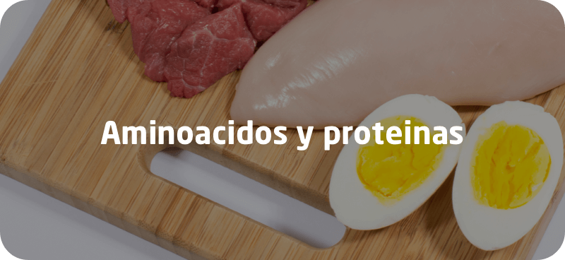 Aminoacidos y proteinas